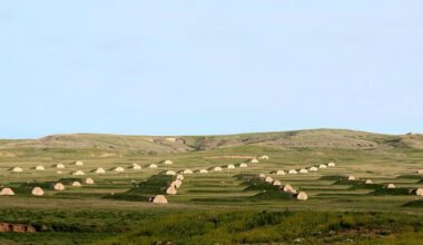 Bunkers and Arks: Escaping the Future We Built Ourselves