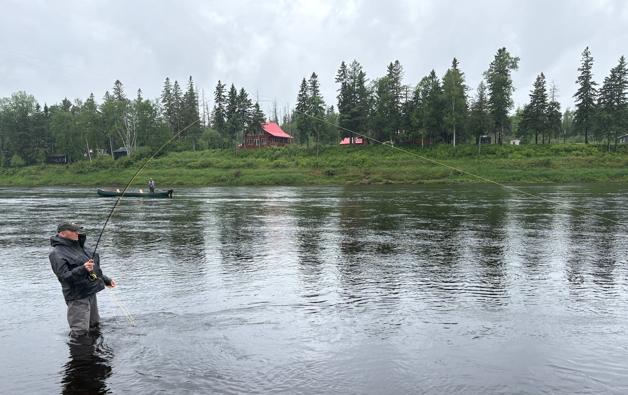 A man stands knee deep in a river, casting a line for salmon, with the riverbank and a cabin in the background.