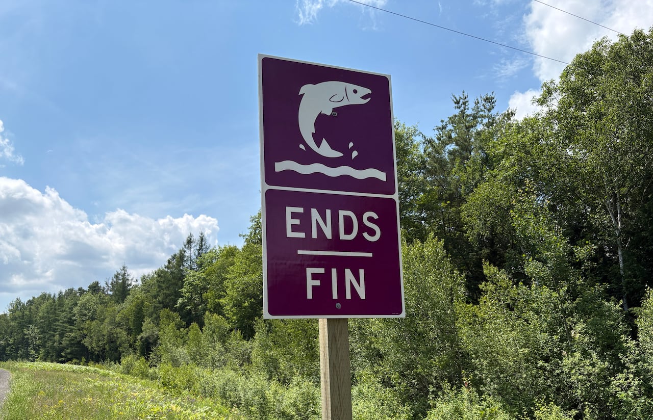 A road sign depicting an Atlantic salmon.