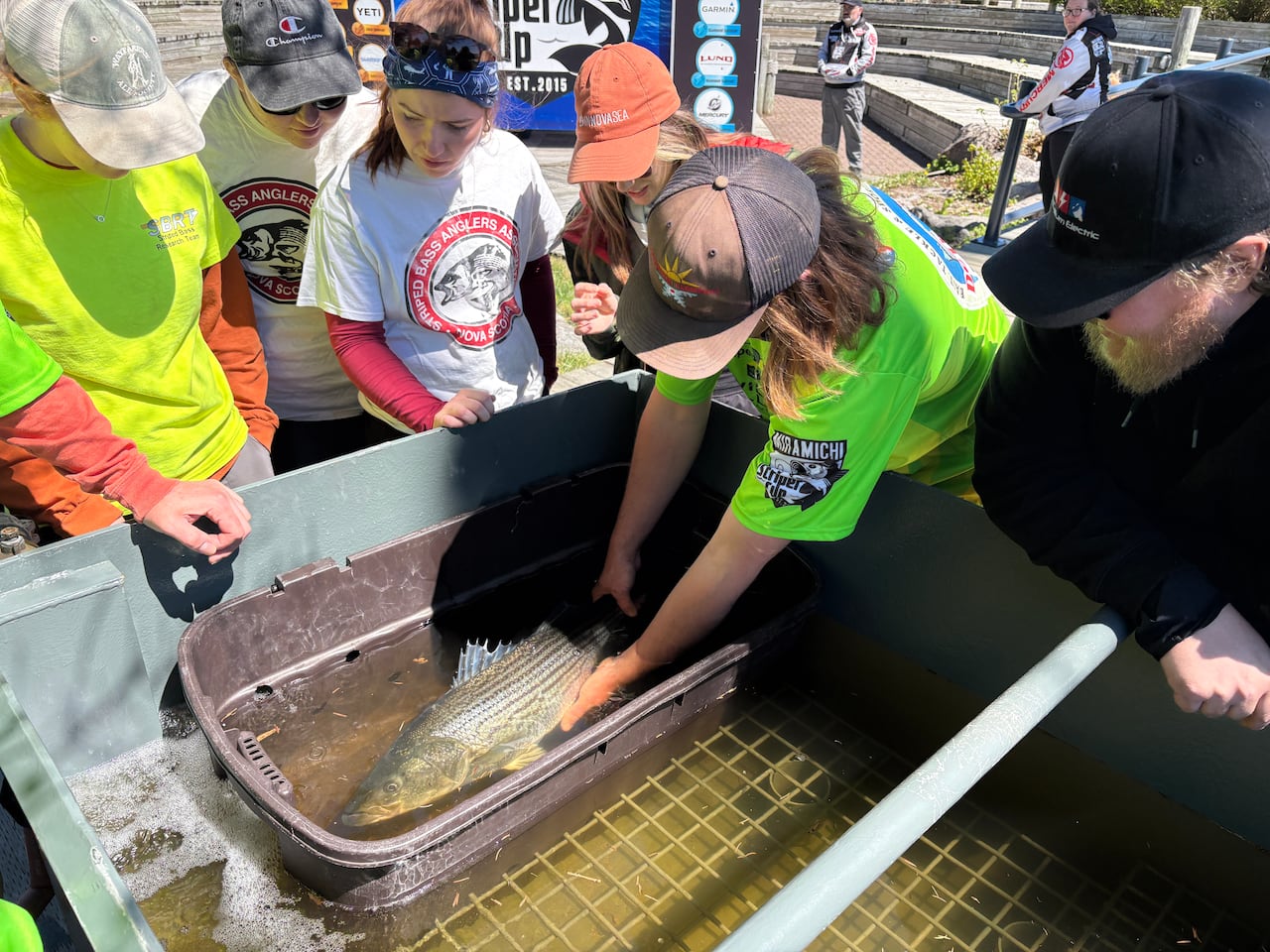 A person holds a fish in a tub of water, while other people look on.