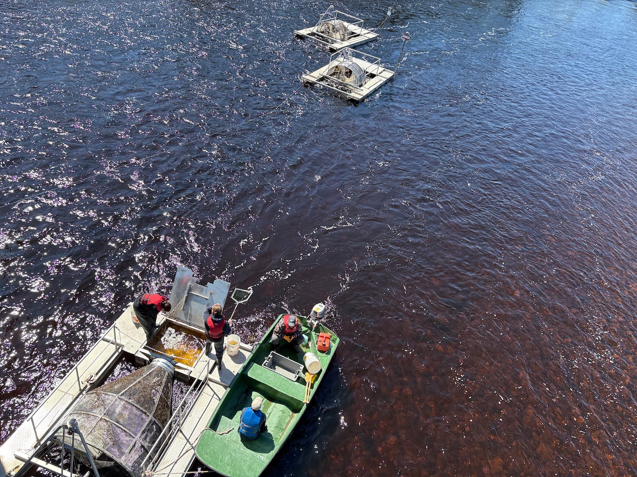 A small boat in a river sits alongside a large metal drum, as people in lifejackets work.