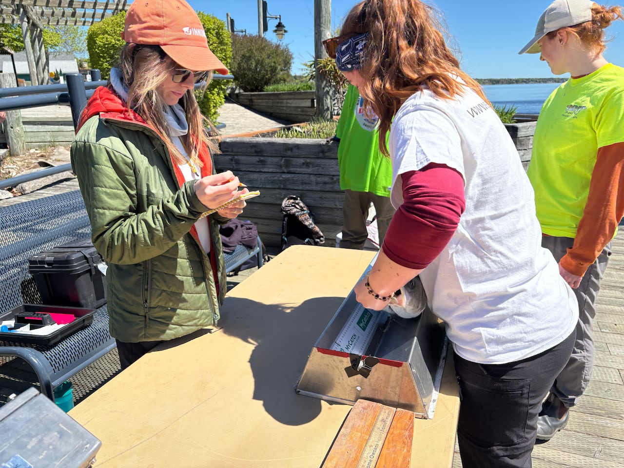 A woman stands behind a table with a notebook as another woman places a large fish on a scale.