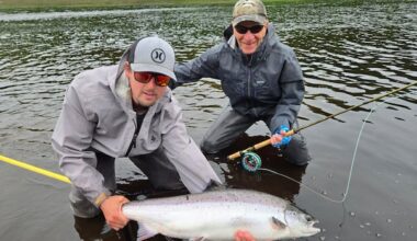 ‘Our river is almost dead’: What’s killing an iconic Miramichi fishery?