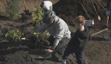 Volunteers plant more than 500 trees and shrubs in Surrey, with over 7,000 more planned across Metro Vancouver