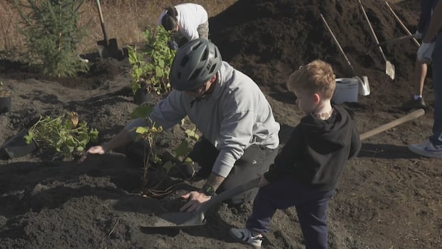 Volunteers plant more than 500 trees and shrubs in Surrey, with over 7,000 more planned across Metro Vancouver