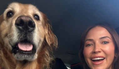 Kaitlyn Bristowe Shares Health Update on Her Dog Pinot: ‘Prayers Up’