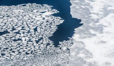 Aerial View of Arctic Sea Ice and Floating Ice Floes