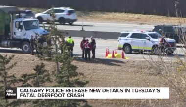 70-year-old man struck and killed on Deerfoot Trail shoulder