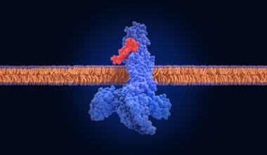 Frontiers in Science: Rebalancing the body’s cellular communication system could slow aging