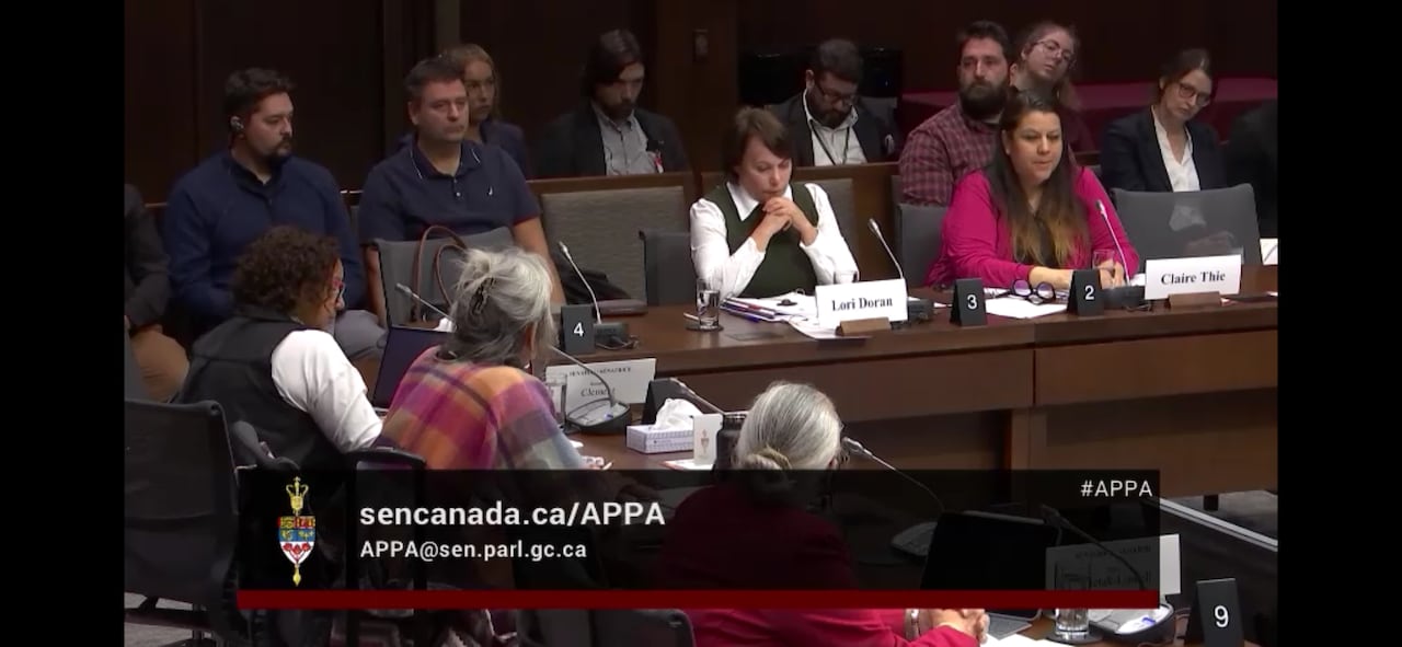 two wtinesses appear before a senate committee