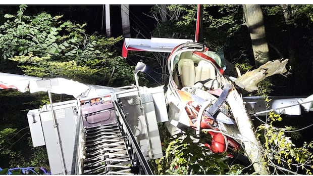 Small plane's engine failed over west Ottawa before fatal crash: TSB