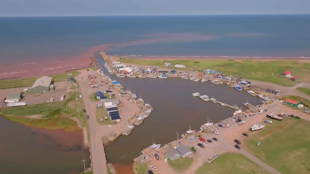 Miminegash's wharf, breakwaters will be rebuilt as Ottawa invests in P.E.I. harbour