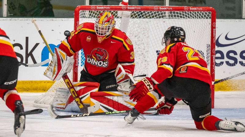 Dinos score twice shorthanded to hand Cougars first loss