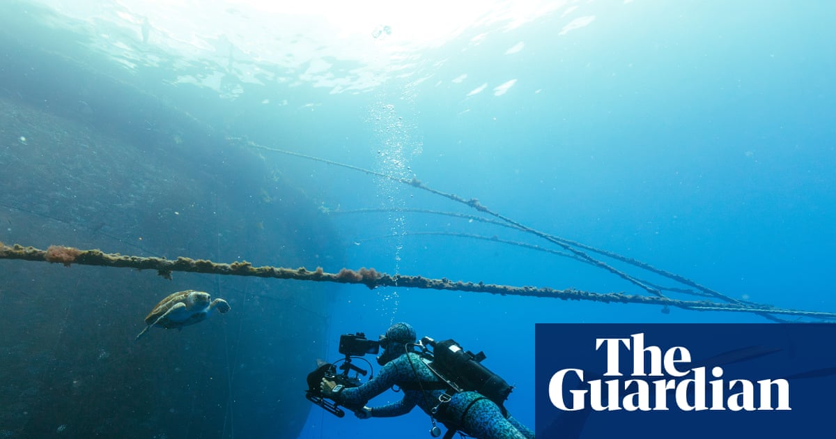 Blue Planet III features cloudier footage to prove authenticity amid AI boom | BBC