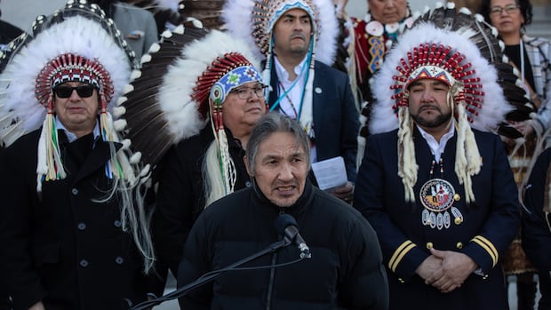 Chiefs, Opposition call for Alberta government to drop appeal of decision that quashed separation petition