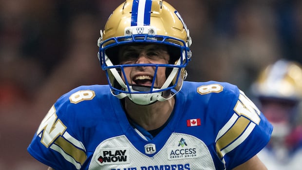 Blue Bombers clinch CFL playoff spot after 34-10 win over Lions