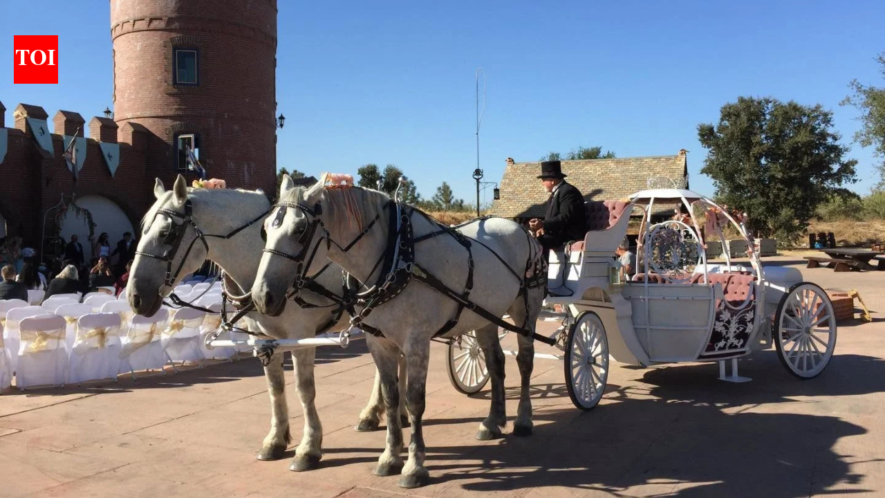 In 1991, inspired by Dutch castles, Casper Noz rejected his house plans and began a family home in Snelling, California; its two towers now host weddings | World News