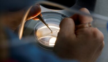 Egg freezing is becoming significantly more popular in Canada
