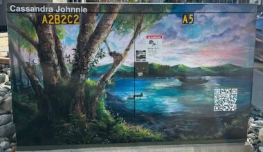 Pelly Crossing, Yukon, artist's paintings spruce up utility box in downtown Whitehorse