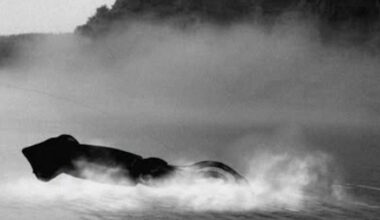 DFO Dives into 'Below' Buzz with Joke Post About Mysterious Sea Creature