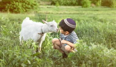 Child visiting a goat at LChaim Farm in Dania Beach