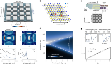 Topological control of polaritonic flatbands in anisotropic van der Waals metasurfaces