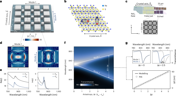 Topological control of polaritonic flatbands in anisotropic van der Waals metasurfaces