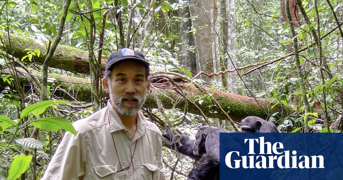 ‘I didn’t want to write about this’: the man who first saw chimps waging civil war | Primatology