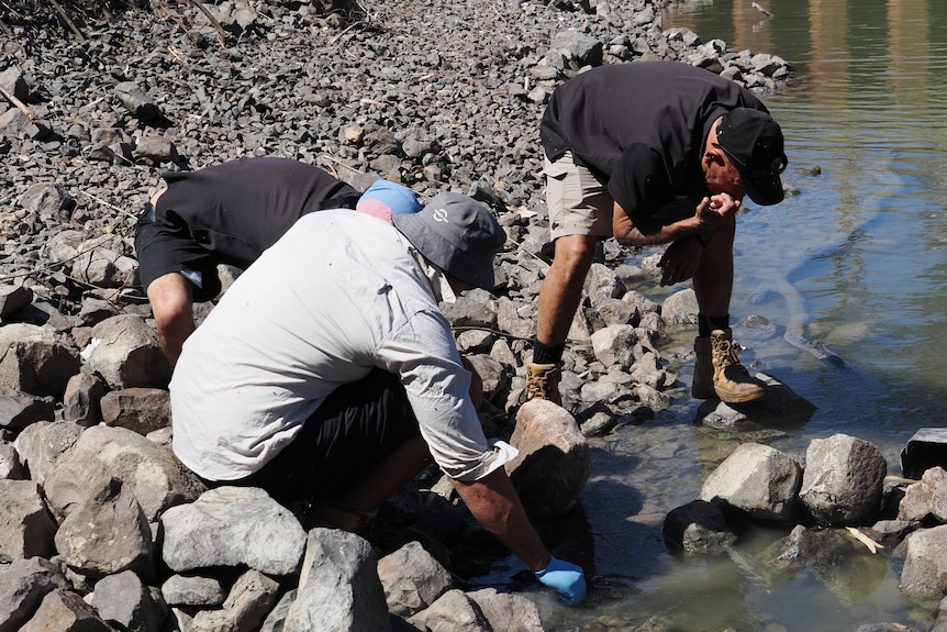 Three men in hats crouch at the edge of a rocky river bank searching in the water