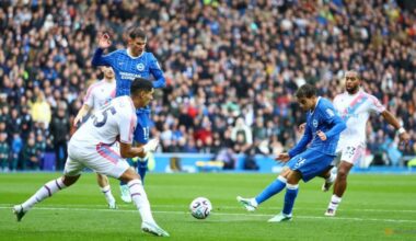 Brighton's patience pays off as Huerzeler helps Seagulls soar