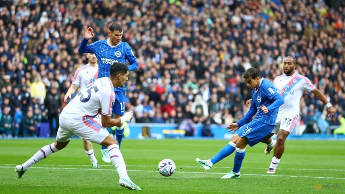 Brighton's patience pays off as Huerzeler helps Seagulls soar