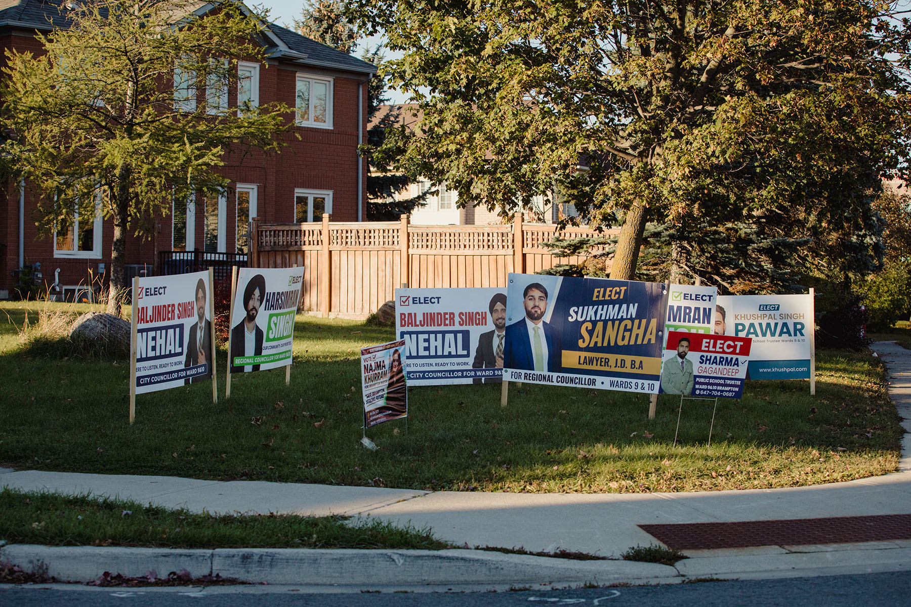 Lawn signs in Ward 9.