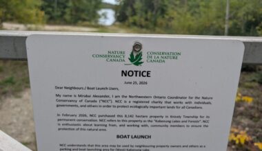 The new value of trees and wetlands