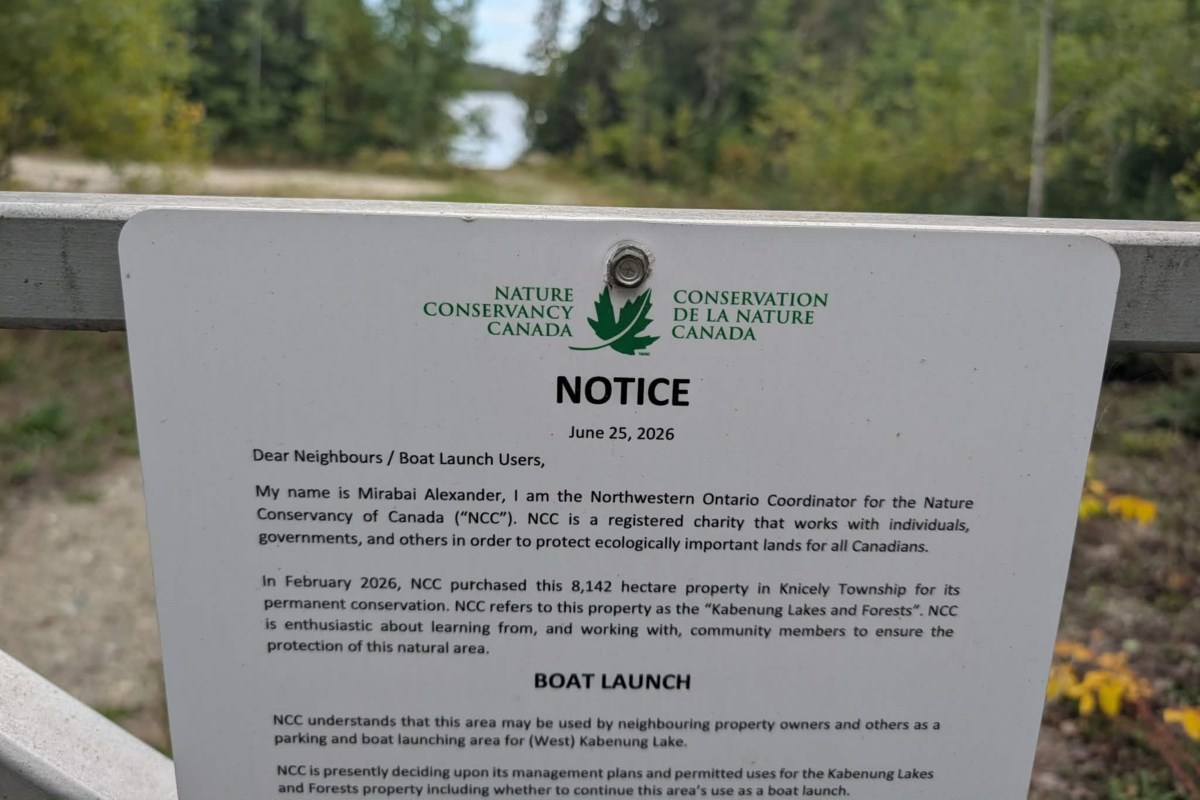 The new value of trees and wetlands