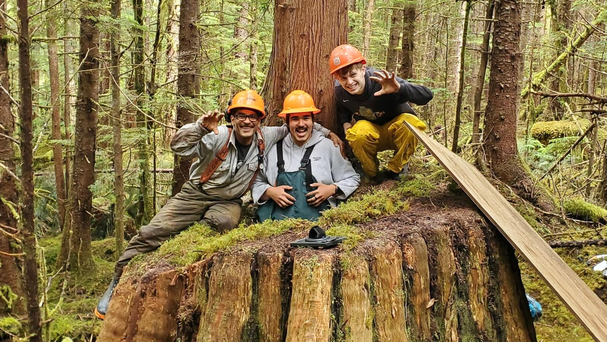 Washington, centre, and crew members at a stump den site in July 2026. 