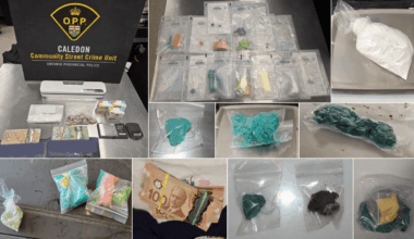 'Dark web' drug bust leads police to 600 grams of fentanyl and charges for Mississauga man