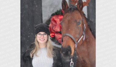 'Empowering': Equine therapy helps people work on physical, mental health