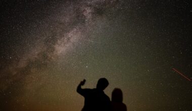 Scientists reveal new theory of why we exist