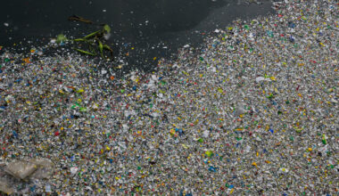 How exactly do microplastics damage the body? New research offers an answer - NBC News