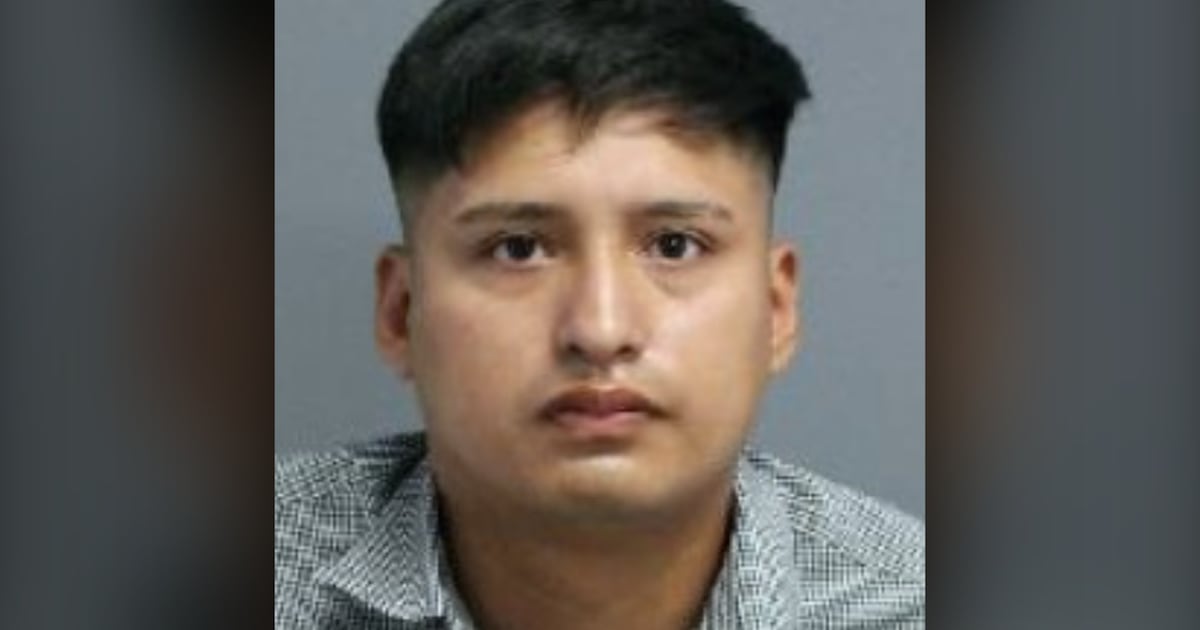 Scarborough stabbing suspect on the run after removing ankle monitor: police