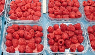 World’s largest berry distributor faces class-action lawsuit in Quebec - CTV News