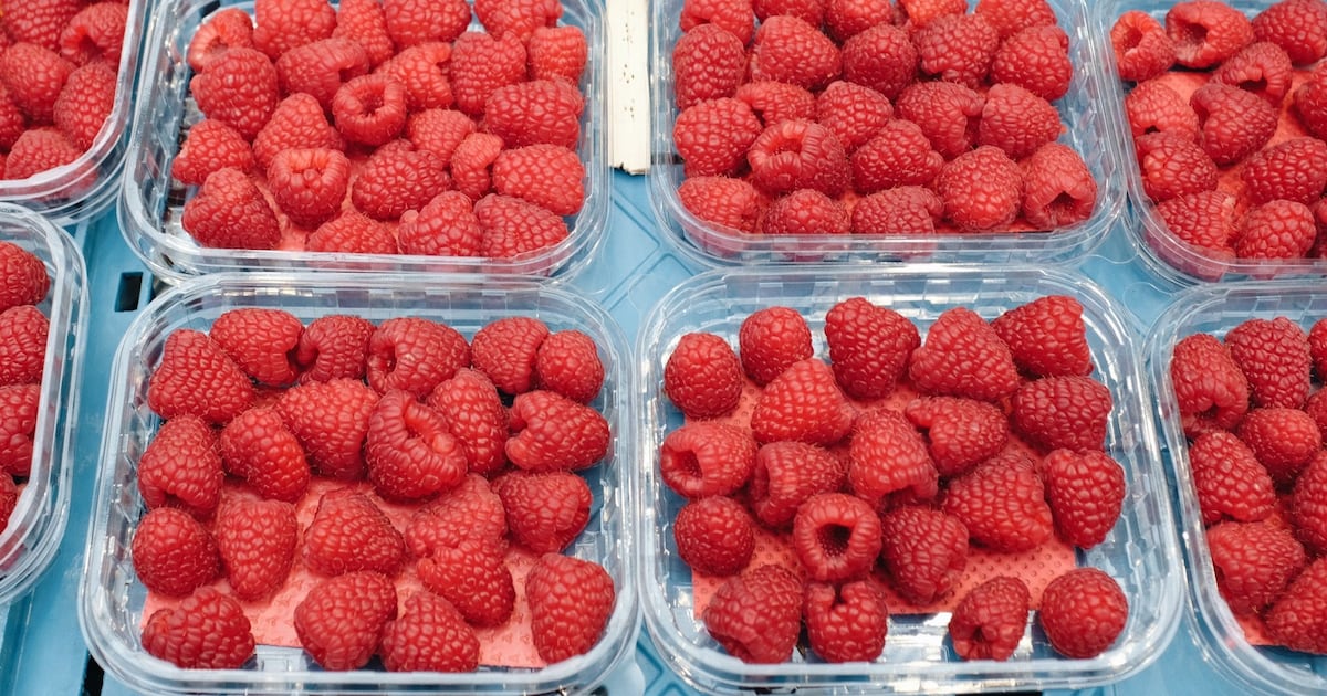 World’s largest berry distributor faces class-action lawsuit in Quebec - CTV News