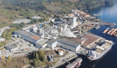 ‘Immense relief for our community’: B.C. pulp mill saved from indefinite closure - CTV News