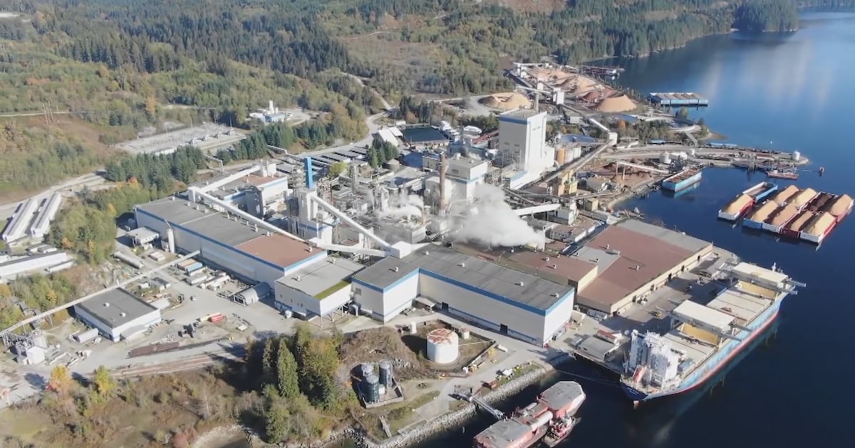 ‘Immense relief for our community’: B.C. pulp mill saved from indefinite closure - CTV News