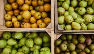 10 fall fruits and vegetables nutrition experts love