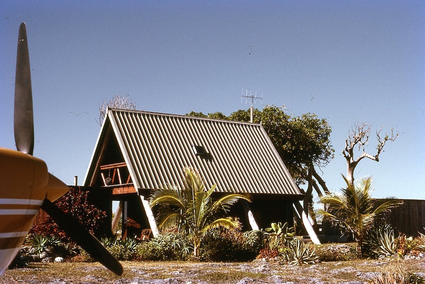 A plane's propellors at the left of the photo, with an A-frame house surrounded by palms and shrubs.