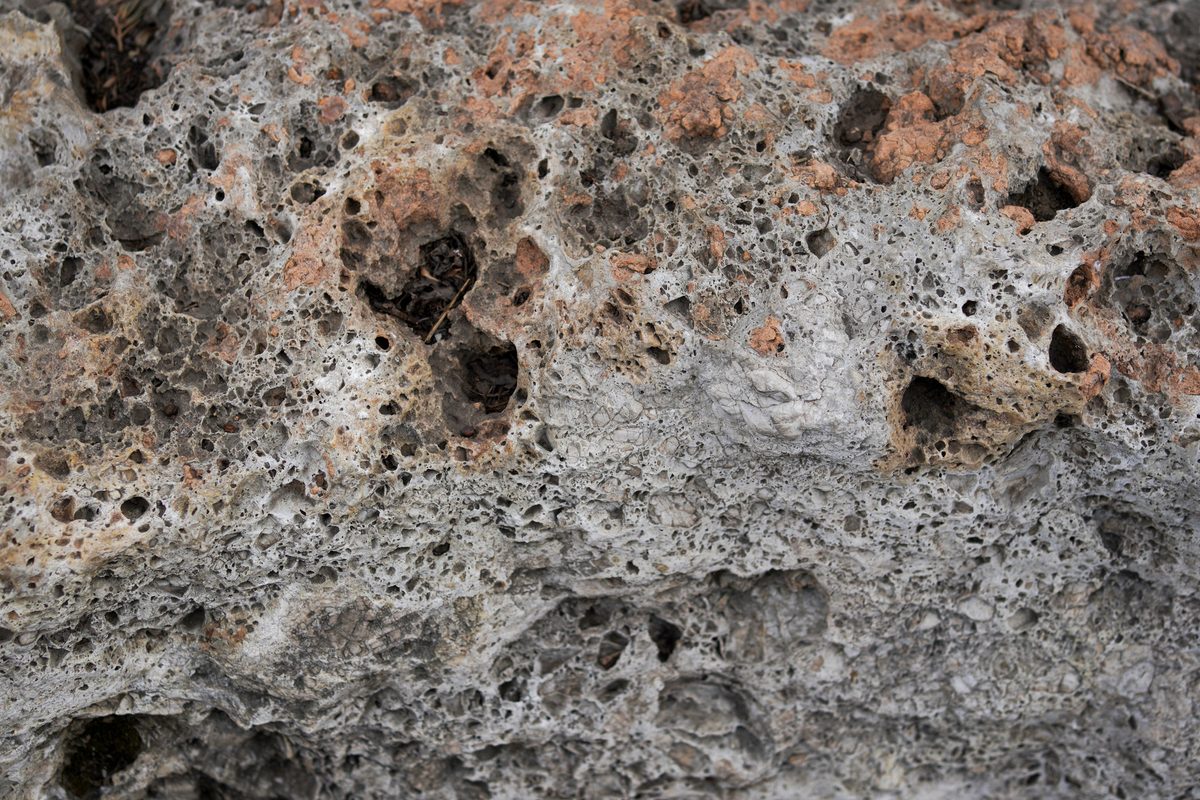 Close-up of pumice stone displaying its characteristic porous texture, formed by volcanic activity. Ideal for geology and natural material studies.