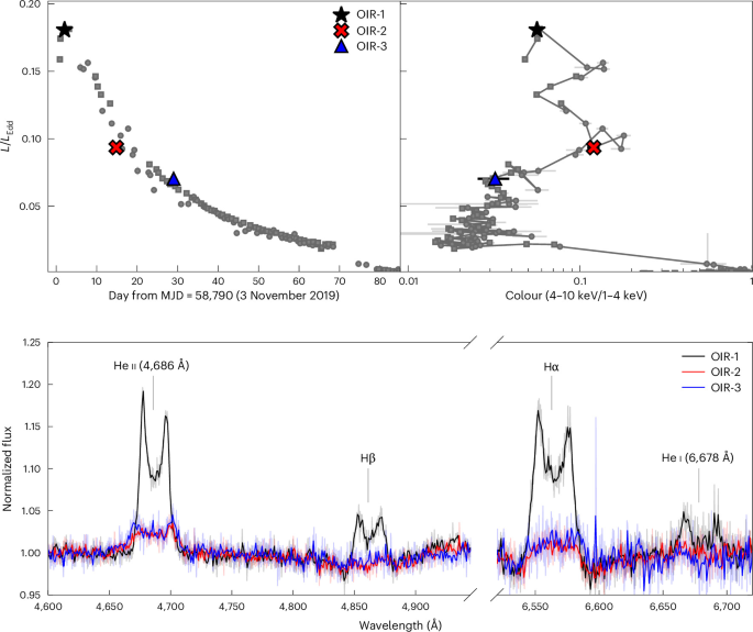 A self-shadowing black hole accretion disk at sub-Eddington luminosities