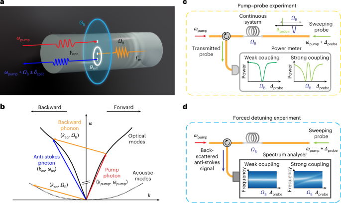 Cavity-less Brillouin strong coupling in a solid-state continuous system