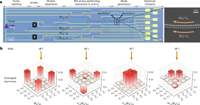 Fig. 2: Experimental characterization of topology transfer.